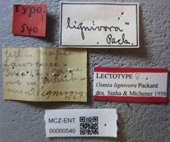 Media type: image;   Entomology 540 Aspect: labels